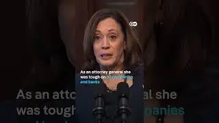 What would Kamala Harris mean for the economy? | DW News