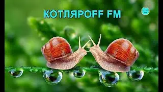 КОТЛЯРОFF FM  (03. 04. 2023) Финал - муравьи для ихних. На фторой вираж.