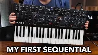 Sequential Take 5 Synthesizer // First Impressions, Sound Demos & Walkthrough (my first Sequential)