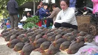 The whole market was surprised to see laying hens being sold at the market.