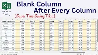 Insert Blank Columns After Every Column in Excel