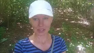 Бая Че: моя система питания. Бая Че Доктор Натуропатии