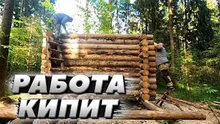 В шаге от успеха | ЛЕСНОЙ ДОМ | ИЗБА | FOREST HOUSE | DUGOUT | HUT