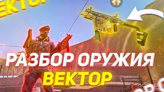 Всё о фри фаер: Детальный разбор вектора. Чего ты ещё не знал о нём?