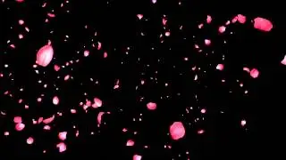 Футажи для видеомонтажа