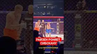 Райзен vs Сибскана / ТРИ НОКДАУНА В ПЕРВОМ РАУНДЕ
