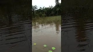 Mancing jeburan