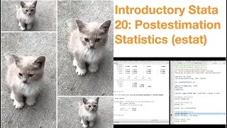 Introductory Stata 20: Postestimation Statistics Part 2 (estat)