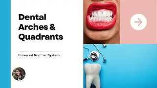 Video 2- Dental Arches and Quadrants: Universal Number System