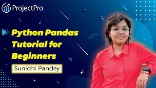 Python Pandas Tutorial for Beginners