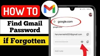 How To Find My Gmail password 2024 | how do I find out my Gmail password on my phone