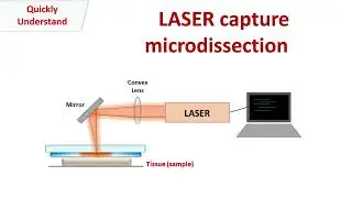 Laser capture microdissection