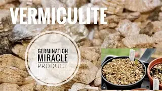 HOW TO USE VERMICULITE 101. A SOIL SCIENTISTS THOUGHTS ON THE PROS/CONS | Gardening in Canada 👩‍🔬