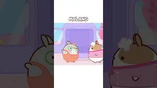 😨Molang And Piu Piu stuck between the sheeps🐑 #shorts #funnycartoon #molang