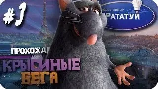 ПРОХОЖДЕНИЕ ИГРЫ-РАТАТУЙ(КРЫСИНЫЕ БЕГА)