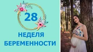 28 Неделя Беременности. Развитие плода и ощущения мамы