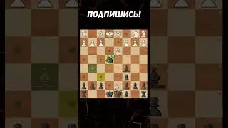 Жертвуем Ферзя И Ставим Мат! 