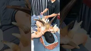 [ASMR] Have You tried Cupping therapy like this? 
