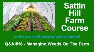 Sattin Hill Farm Course Q&A #16 - Managing Weeds On The Farm