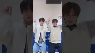 냥냥🐈🐈‍⬛ 