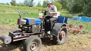 Грабли ворошилки на картофельном поле!