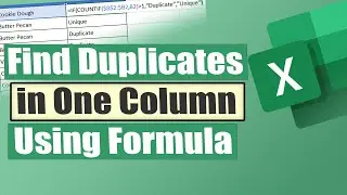 Find Duplicates in One Column in Excel Using a Formula | Excelgraduate