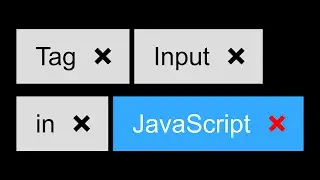 TAGS INPUT in JavaScript