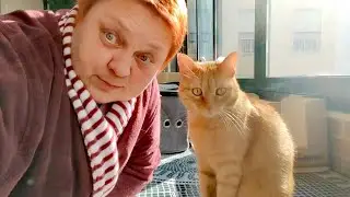 В России лучшая медицина! Была возможность сравнить!