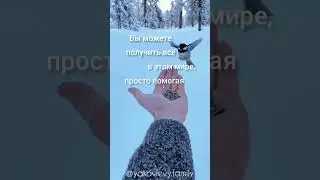 #мысльдня #цитаты