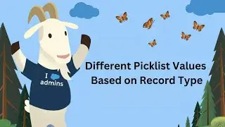 How to  Show Different Picklist Values Based on Record Type? | Salesforce Admin Tutorial