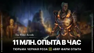 TESO 💪 Самая быстрая прокачка персонажа в игре | Фарм опыта в nBRP | Как получить много опыта | 2022