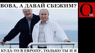 Нож в псину: Лукашенко вводит безвиз с Европой. Дальше будет проситься в ЕС и НАТО