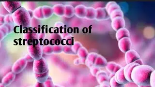 Classification of streptococci|Microbiology