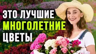 ТОП-10 Неприхотливых Многолетних Цветов Для Сада 🌸 ЭТИ Красивые ЦВЕТЫ Сможет Вырастить КАЖДЫЙ!