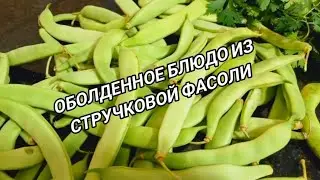 ВОТ ТАК НАДО ГОТОВИТЬ СТРУЧКОВУЮ ФАСОЛЬ. ПРОСТОЙ РЕЦЕПТ ИЗ СТРУЧКОВОЙ ФАСОЛИ- Рецепты от Валерии