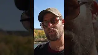 Near Death Crash into River... Recovery Time