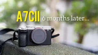 Sony A7Cii Long Term Review: 6 months later…