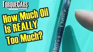 How Much Oil Is Too Much? ⚠️- See Why It Really Matters!!