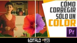 Corregir un determinado COLOR en un Vídeo - HSL Secundario -