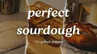 PERFECT Sourdough Recipe: Easy Loaf for Grilled Cheese and Beginners!