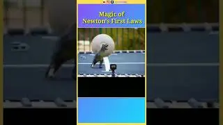 Magic Newton first laws of motion #newton #physics #memes #laws #trending