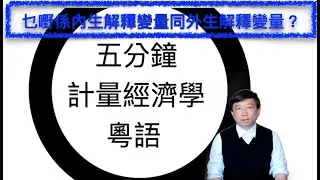 【Cantonese粵語】五分鐘計量經濟學（計量經濟學輔導）第十九集：乜嘢係內生解釋變量同外生解釋變量？