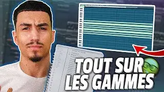 COMMENT FAIRE SA PREMIÈRE MÉLODIE SUR FL STUDIO - ASTUCE MÉLODIES - beatmaking tuto fr