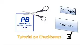 PowerBasic Snippets - Tutorial on Checkboxes