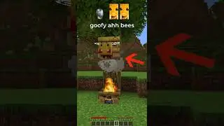 goofy ahh bees in minecraft 💀🐝