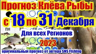 Прогноз клева рыбы на неделю с 18 по 31 Декабря Календарь клева рыбы Лунный календарь рыбака