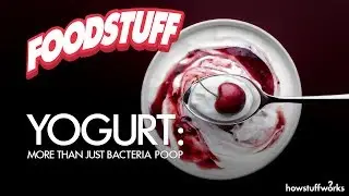 Yogurt: More Than Just Bacteria Poop | FoodStuff