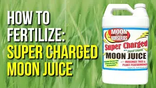 How To Fertilize: Super Charged Moon Juice