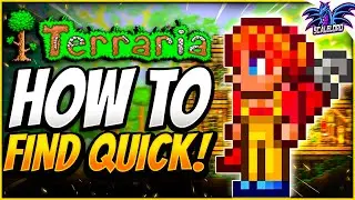 How to GET Mechanic NPC in Terraria