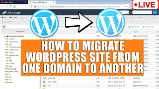 [🔴LIVE] How to Migrate your WordPress site from one Domain to another?